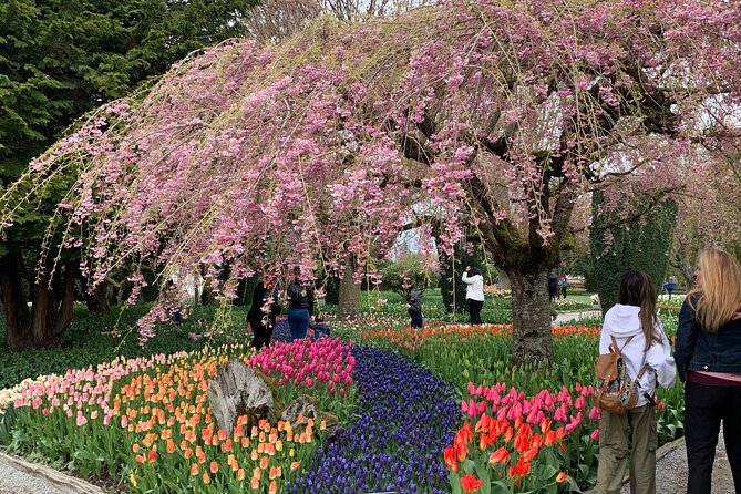 View of Tulips, La Conner, Deception Pass Bridge & Whidbey Island - Included in the Tour