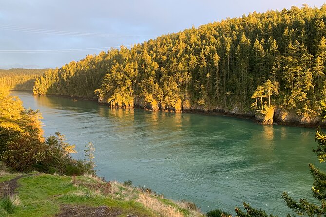 View of Tulips, La Conner, Deception Pass Bridge & Whidbey Island - Breathtaking Tulips