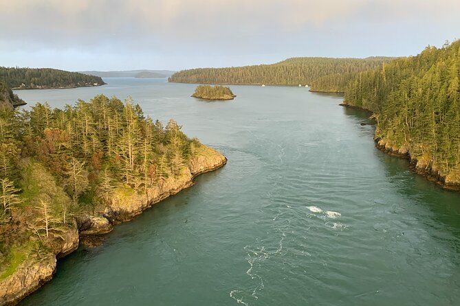View of Tulips, La Conner, Deception Pass Bridge & Whidbey Island - Exploring La Conner
