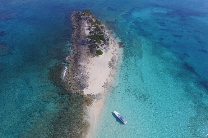 View the Turtles, Rose Island, Gilligans Island and Fishing Tour - Snorkeling and Fishing