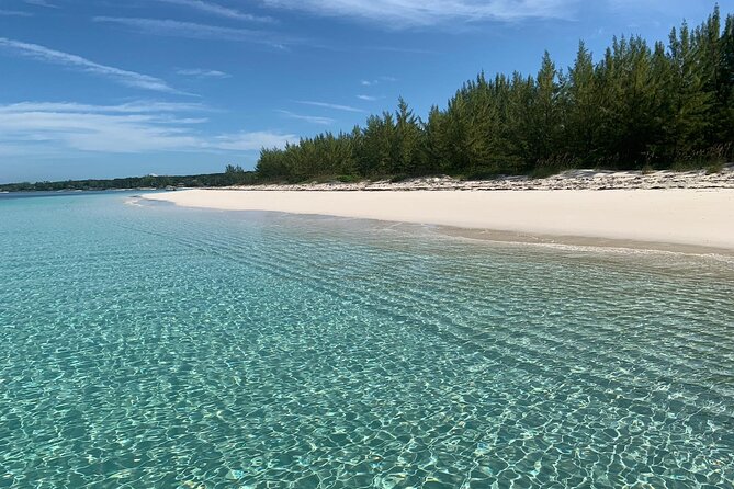 View the Turtles, Rose Island, Gilligans Island and Fishing Tour - Gilligans Island Exploration