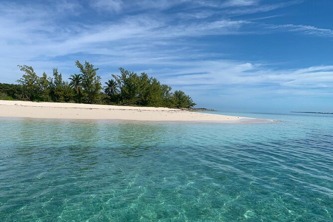 View the Turtles, Rose Island, Gilligans Island and Fishing Tour - Pristine Beach Relaxation
