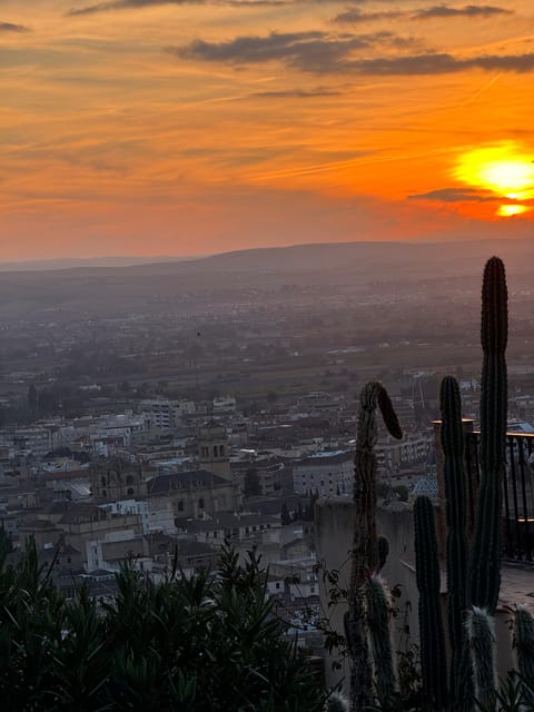 Viewpoints in the Albaicín - Physical Requirements