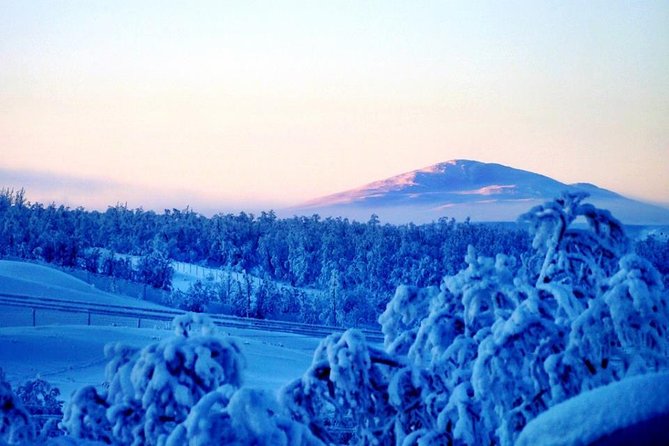 Views Over Lapland by Snowmobile and Visit the Reindeer - Booking Information