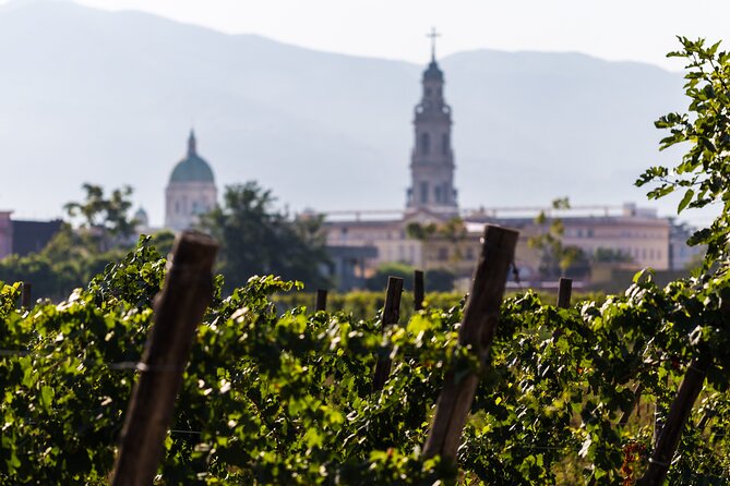 Vigna Taste: Discover the Ancient Wine Culture From Pompeii - Visiting the Roman Necropolis