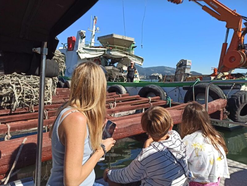 Vigo: San Simón Bay Mussel Farming Tour - Pricing and Booking