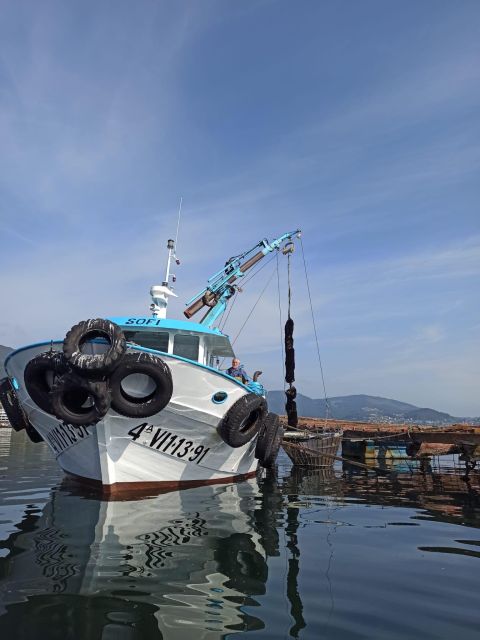 Vigo: San Simón Bay Mussel Farming Tour - Frequently Asked Questions