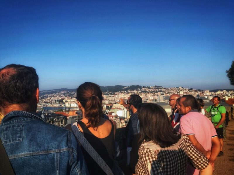 Vigo: Walking Tour With Local History & Culture - Experience and Accessibility