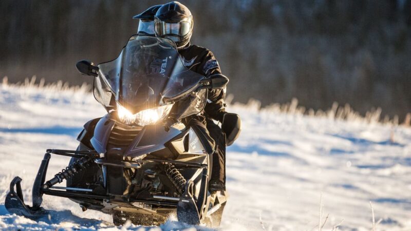 Vik: Exclusive Icelandic Highland Snowmobiling Adventure - Experience Highlights