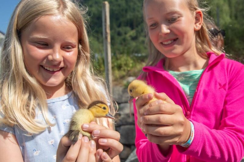 Vik I Sogn: Authentic Farm Visit - Pricing and Booking