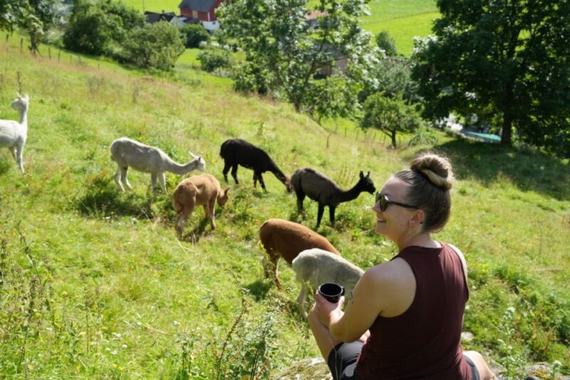 Vik I Sogn: Authentic Farm Visit - Farm Experience Highlights