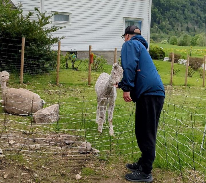 Vik I Sogn: Authentic Farm Visit - Visitor Information