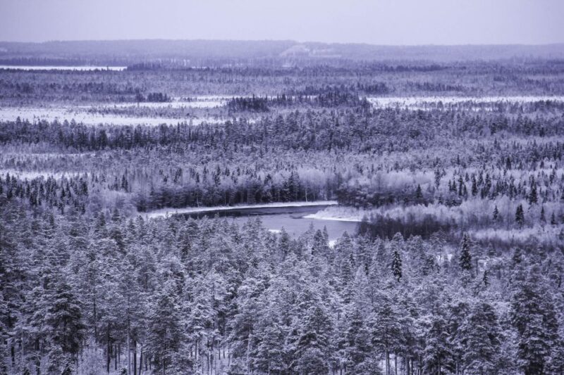 Vikakongas Hike: Nature and Silence - Activity Overview