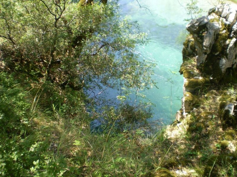 Vikos Gorge Aristi to Klidonia Bridge 3-Hour Hike - Trekking Through Shaded Woods