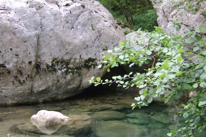Vikos Gorge Daily Hike - Positive Review Insights