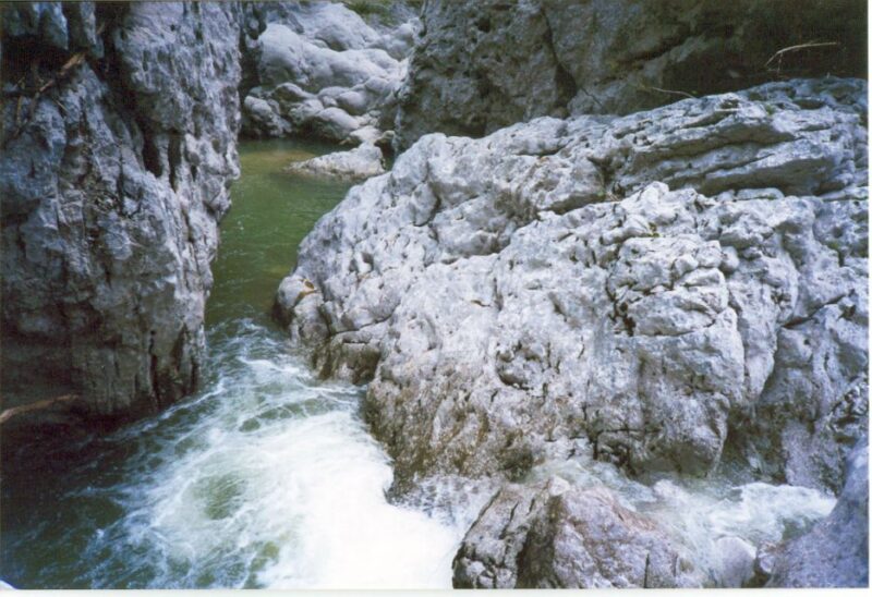 Vikos Gorge Full-Day Guided Hike - Discovering Rare Flora and Fauna