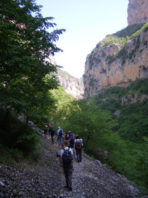 Vikos Gorge Full-Day Guided Hike - Frequently Asked Questions
