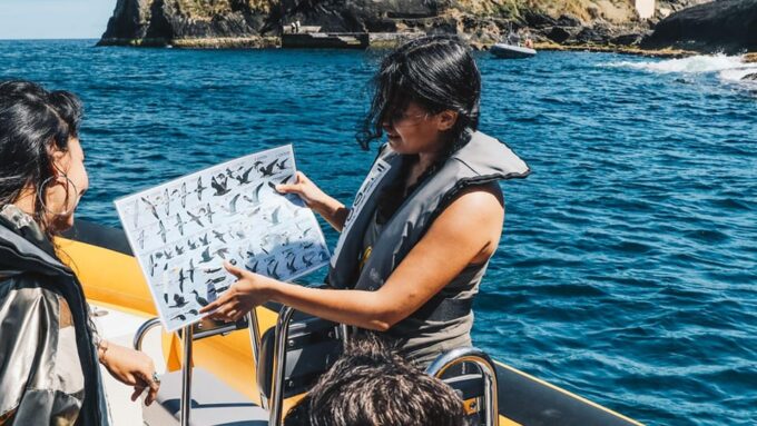 Vila Franca Do Campo: Around the Islet Guided Boat Tour - Tour Duration and Group Size