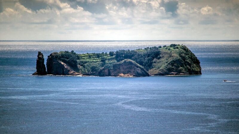 Vila Franca Islet: Off-coast Nature Reserve Tour - Key Points
