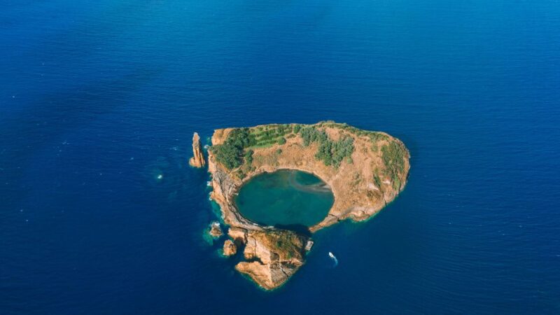 Vila Franca Islet: Off-coast Nature Reserve Tour - Highlights of the Tour