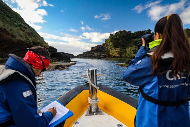 Vila Franca Islet: Off-coast Nature Reserve Tour - Inclusions