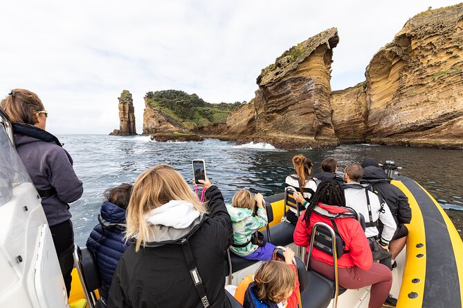 Vila Franca Islet Off-coast Nature Reserve Tour - Island History and Wildlife