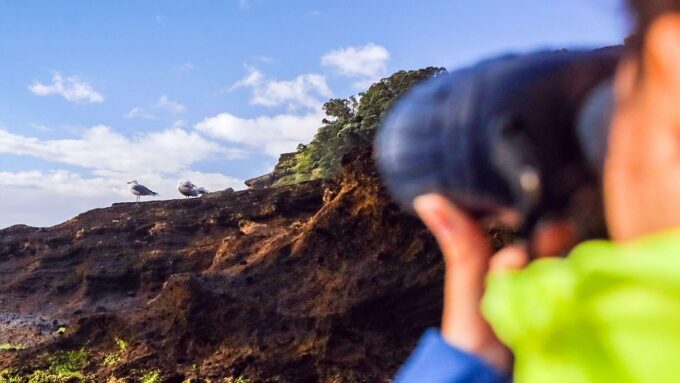 Vila Franca Islet: Off-coast Nature Reserve Tour - Frequently Asked Questions