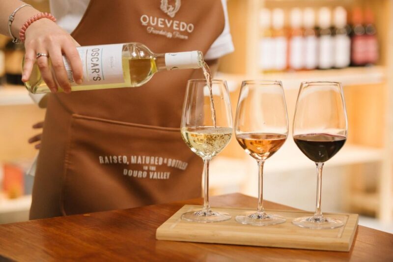 Vila Nova De Gaia: Douro Discovery - Key Points