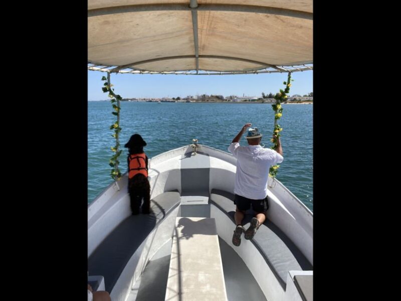 Vila Real De Santo António: Historical Guided Boat Tour - Meeting Point and Important Information