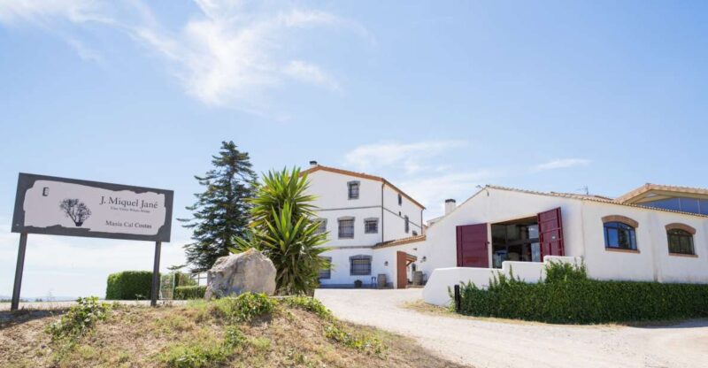 Vilafranca Del Penedès: Winery Visit With Tastings - Key Points