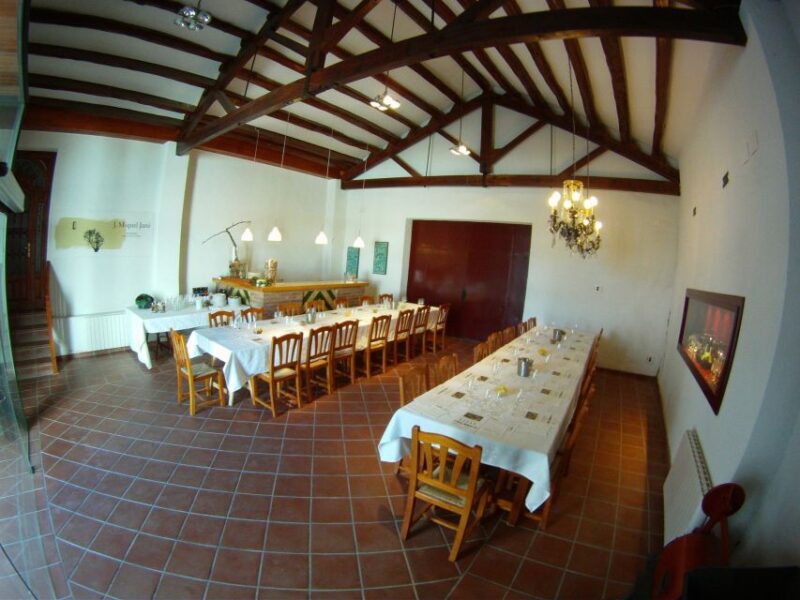 Vilafranca Del Penedès: Winery Visit With Tastings - Tour Highlights