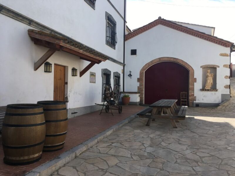 Vilafranca Del Penedès: Winery Visit With Tastings - Wines Tasted