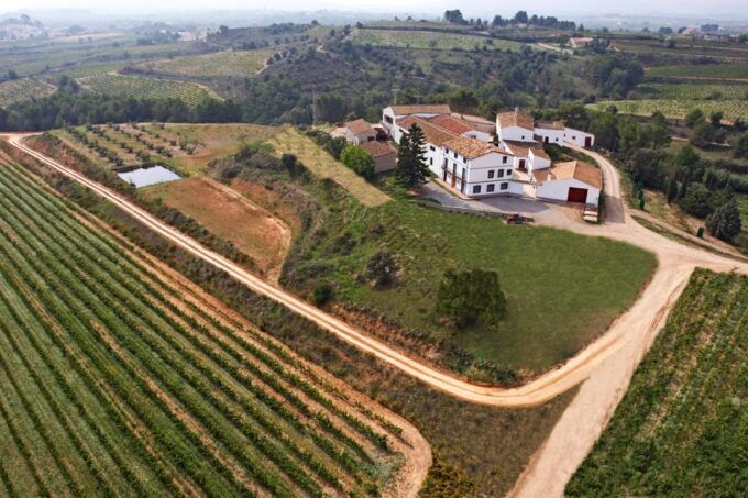 Vilafranca Del Penedès: Winery Visit With Tastings - Guided Tour