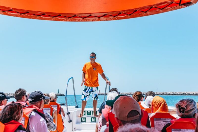 Vilamoura: Benagil Cave Boat Tour With Entry - Wildlife Spotting