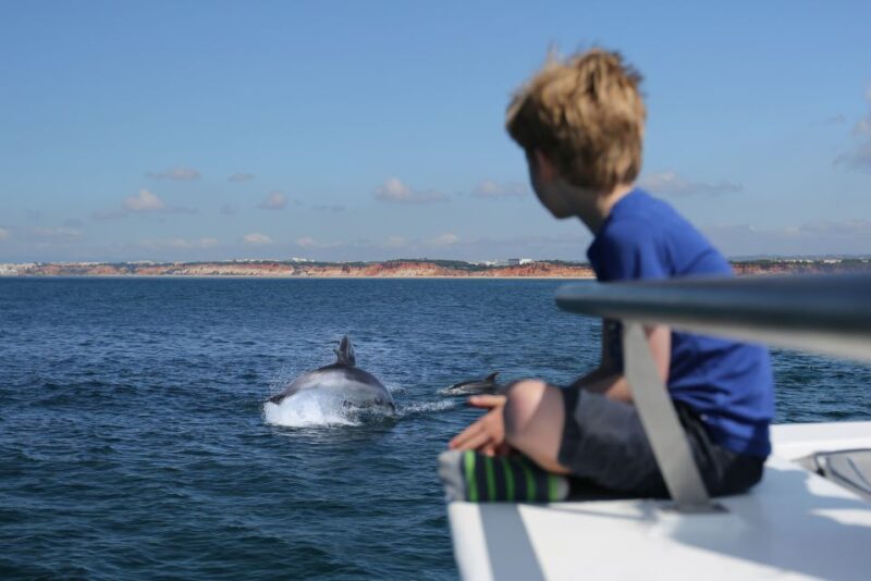 Vilamoura: Boat Tour Dolphin Quest - Key Points