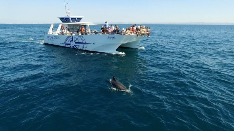 Vilamoura: Boat Tour Dolphin Quest - Conservation Efforts