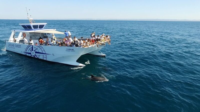 Vilamoura: Boat Tour Dolphin Quest - Experience Highlights
