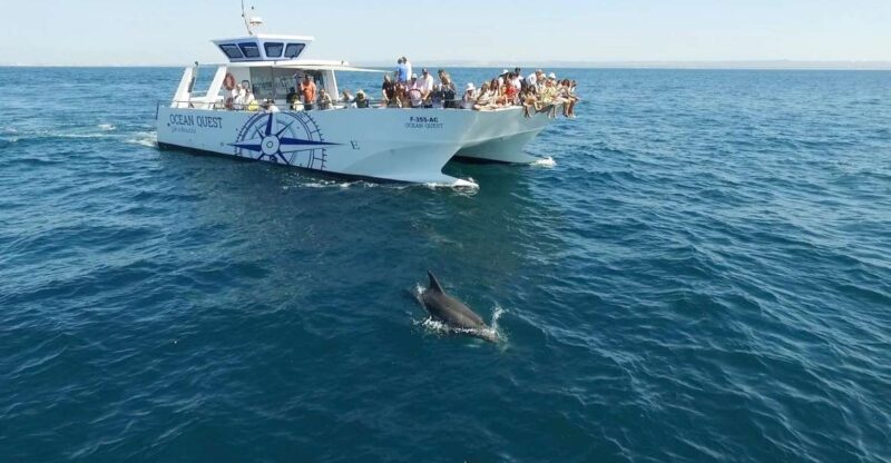 Vilamoura: Boat Tour Dolphin Quest - Onboard Amenities