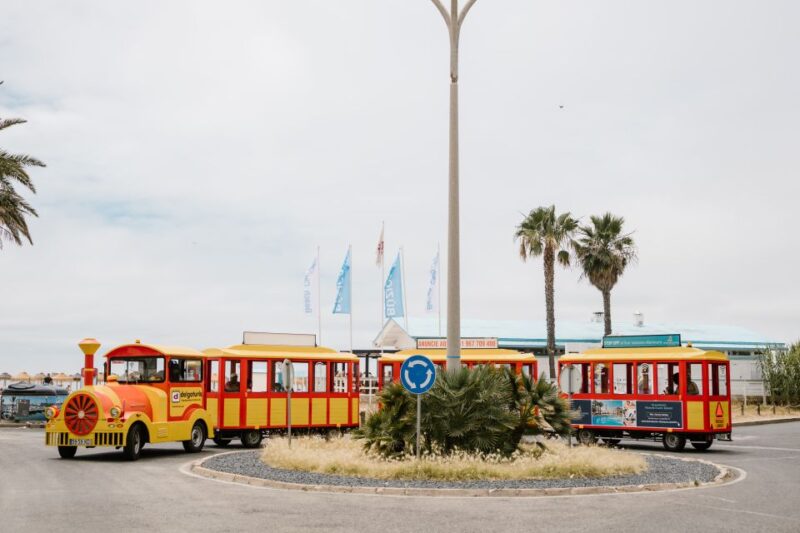 Vilamoura: Tourist Train City Tour - Customer Ratings and Feedback