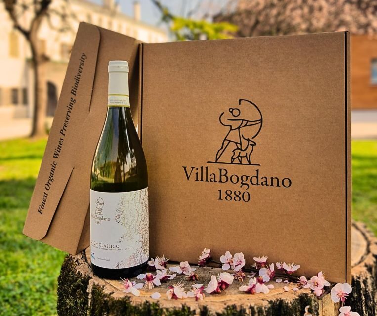 Villa Bogdano 1880: Guided Winery Tour and Tasting - Overview of Villa Bogdano 1880