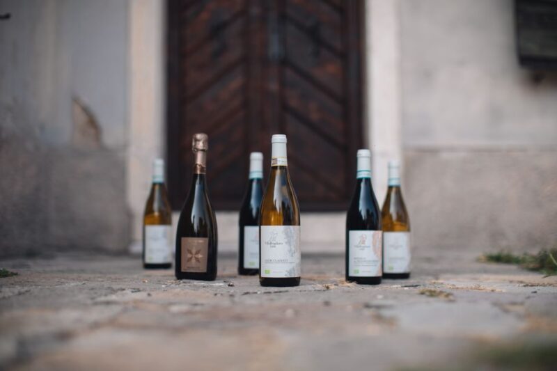 Villa Bogdano 1880: Guided Winery Tour and Tasting - Wine Tasting Experience
