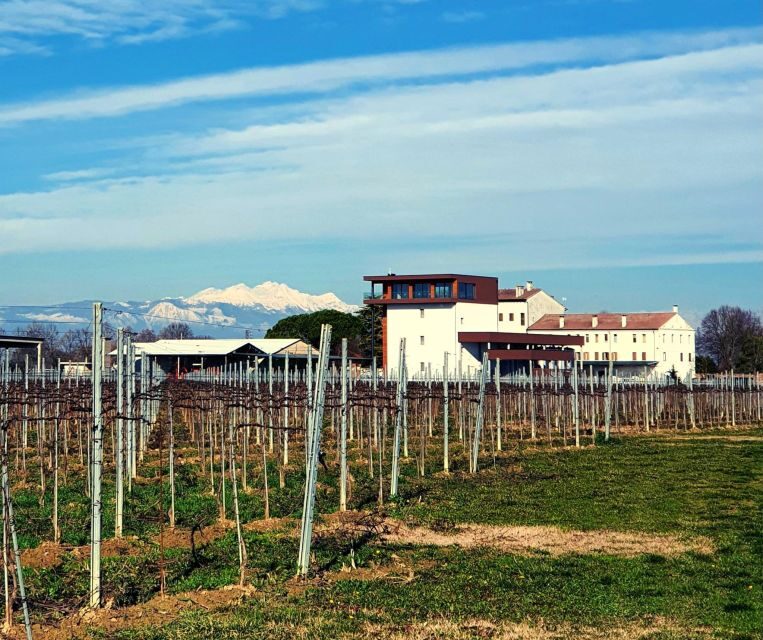 Villa Bogdano 1880: Guided Winery Tour and Tasting - Customer Reviews and Feedback