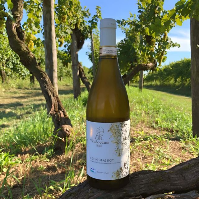 Villa Bogdano 1880: Guided Winery Tour and Tasting - Booking Information and Cancellation Policy