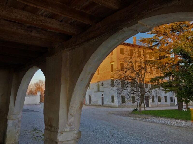 Villa Bogdano 1880: Guided Winery Tour and Tasting - Since Your Asked
