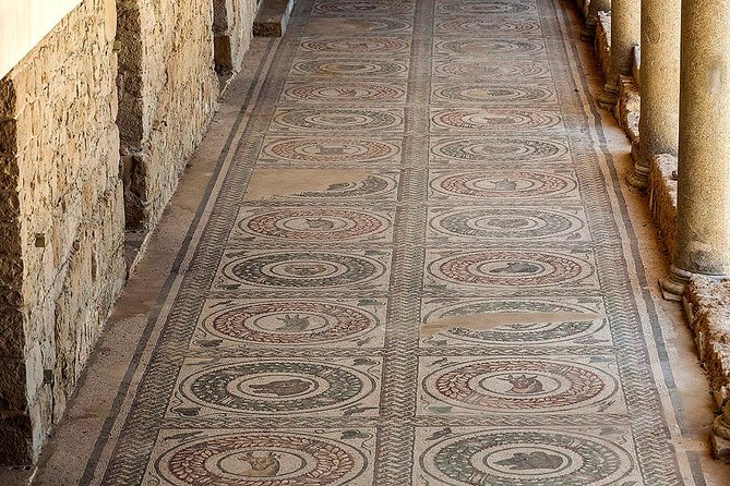 Villa Romana Del Casale in Piazza Armerina and Valley Of Temples in Agrigento - Highlights of Villa Romana