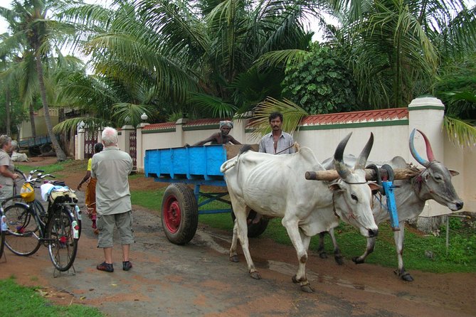 Village Biking Day Tour in Mahabalipuram - Centuries-Old Traditions and Lifestyles