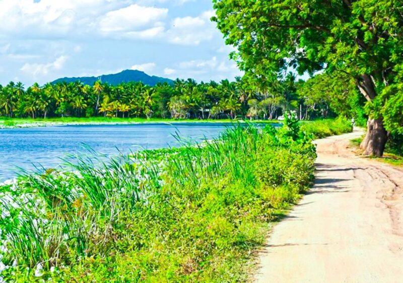 Village Life Exploration in Yala - Key Points