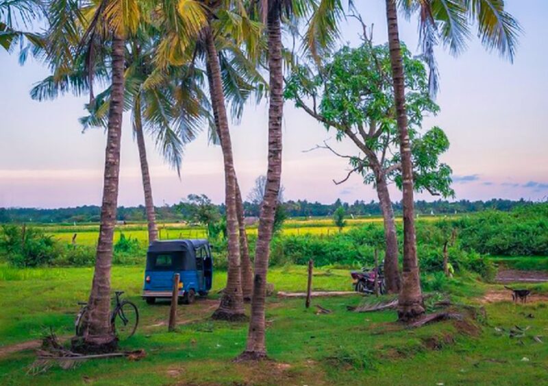 Village Life Exploration in Yala - Pickup and Drop-off Locations