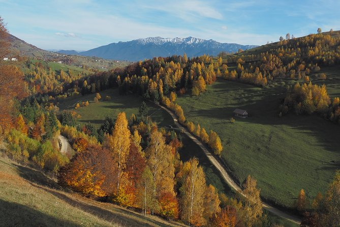 Village Life in Transylvanian Carpathian Mountains - 8 Days - Savoring Regional Cuisine