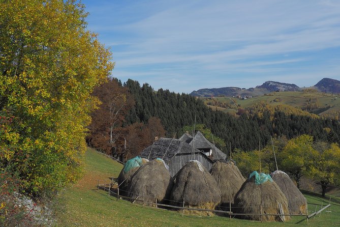 Village Life in Transylvanian Carpathian Mountains - 8 Days - Visiting Draculas Castle in Bran